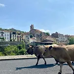 Vakantiehuis Casa D'amunt Prats-de-Mollo-la-Preste