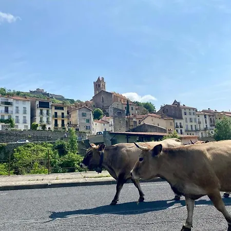 Casa D'amunt Hébergement de vacances